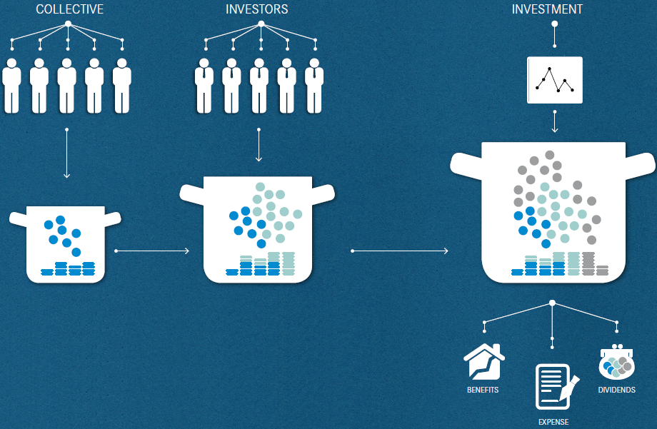 The principle of insurance (graphic)