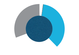 Shareholder structure of UNIQA Insurance Group AG (pie chart)