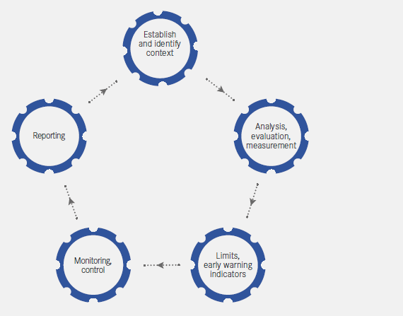 Risk management process in the UNIQA Group (graphic)