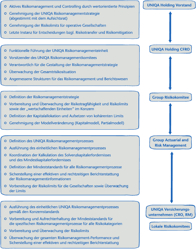 Risikomanagementsystem (Grafik)